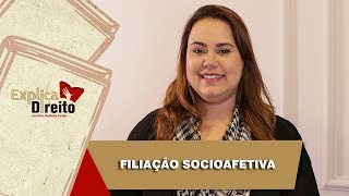 Explica Direito Filiação Socioafetiva  2019 [upl. by Ashti]