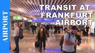 TRANSIT WALK AT FRANKFURT Airport FRA Terminal 1  Connection Flight Transfer Arriving amp Departing [upl. by Gerti]